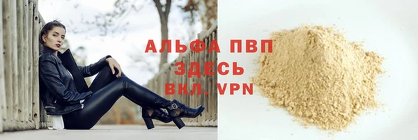 прущие грибы Кострома