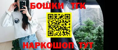 амф Кандалакша