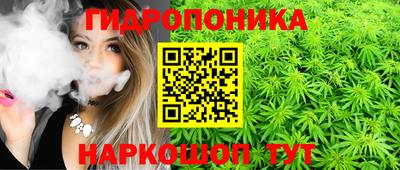 амф Кандалакша