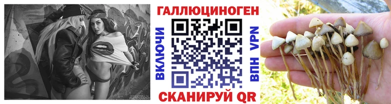 сколько стоит  Саяногорск  Галлюциногенные грибы Magic Shrooms 