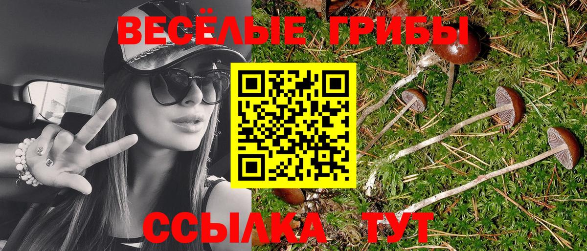 цена   Псилоцибиновые грибы Psilocybe  Вход с VPN  Саяногорск 